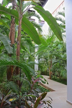 Property grounds - Casa del Mar by Stella Rentals (Playa del Carmen)