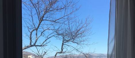 A window view of a beach with a white picket fence, a clear sky, and a leafless tree.
