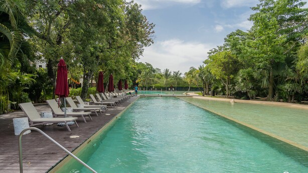 Zona de piscina amb gandules i ombrel·les, envoltada d'arbres.