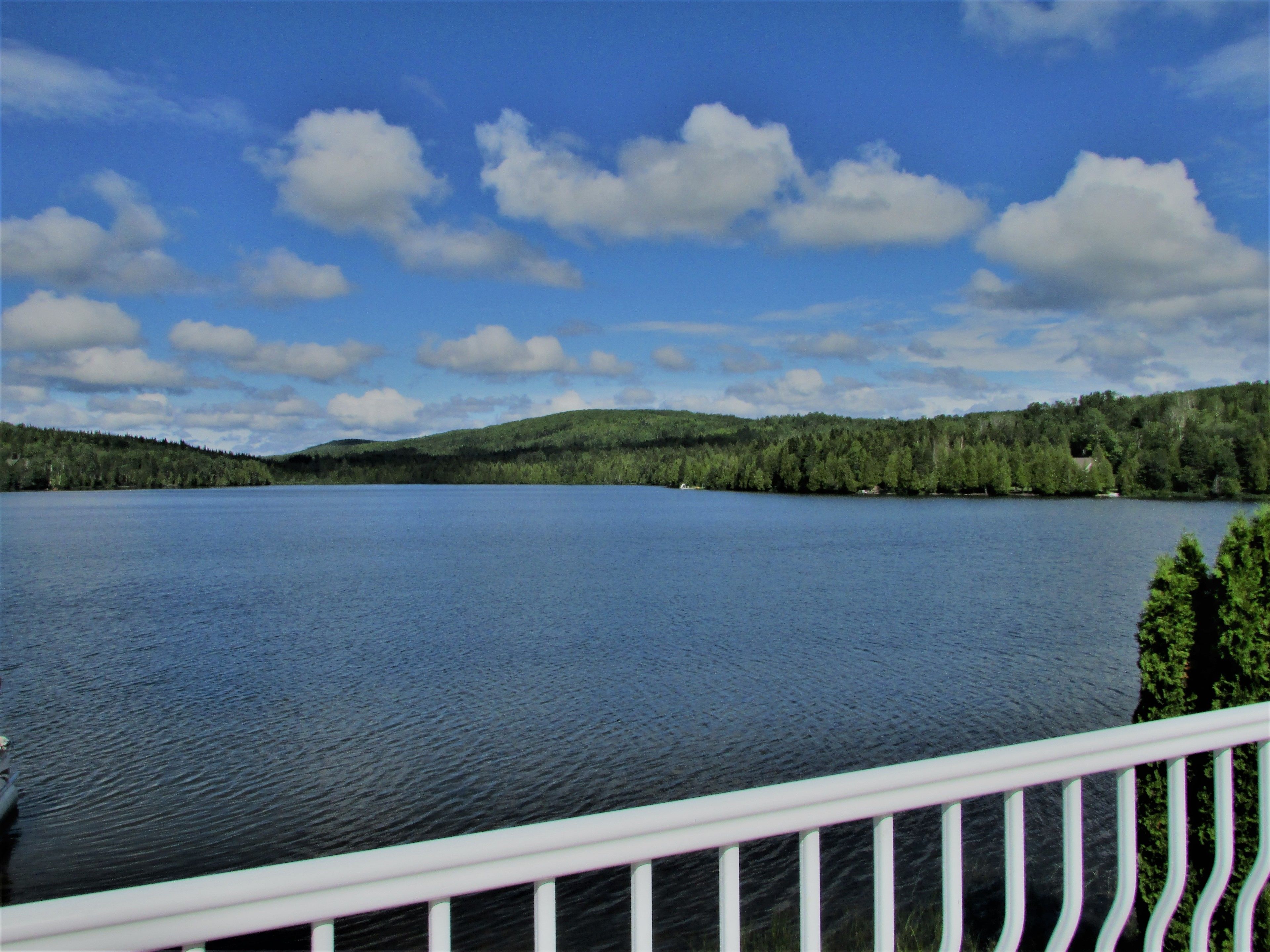Pemandangan danau
