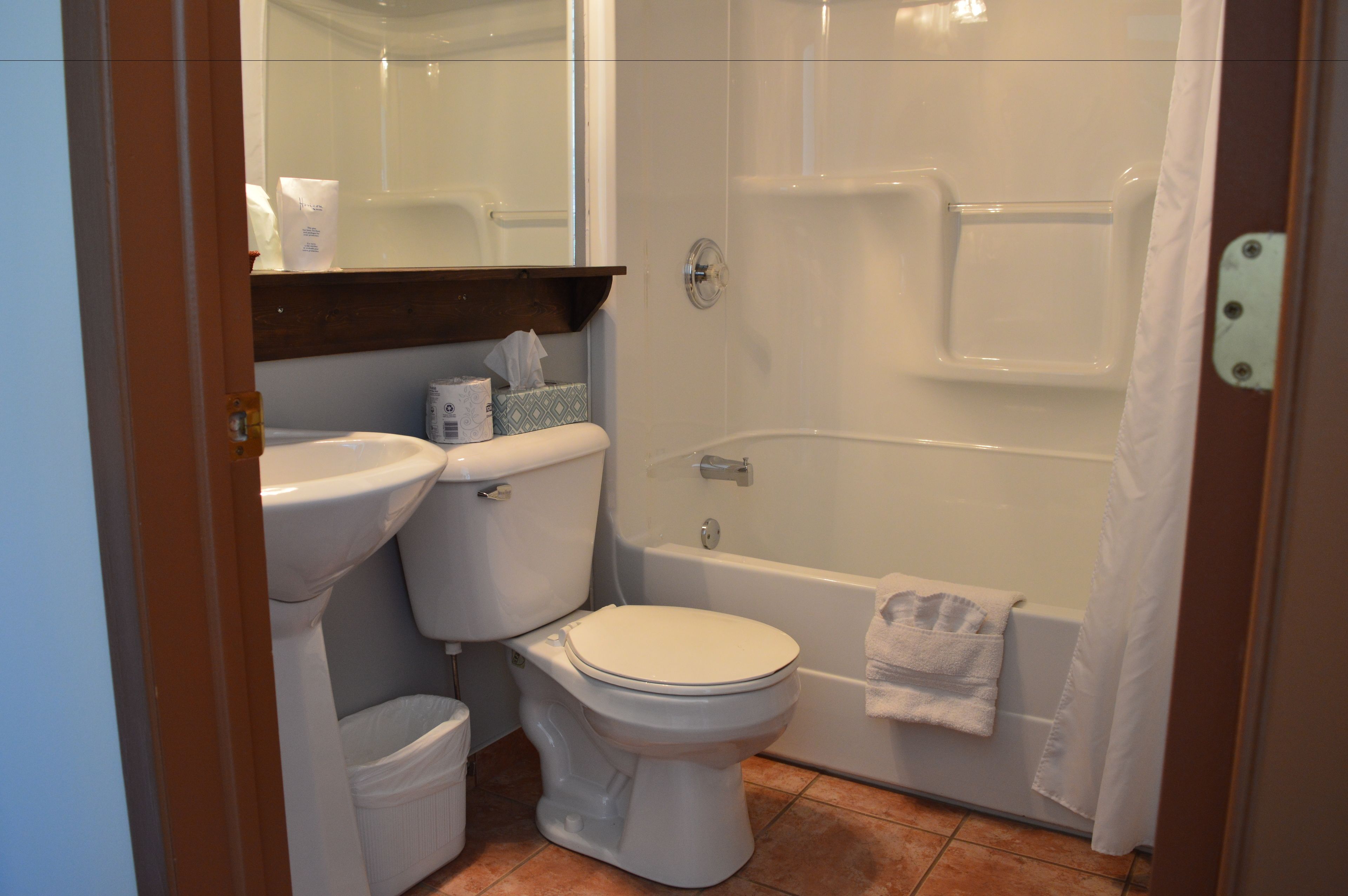 combined shower/bathtub, free toiletries, hair dryer, towels