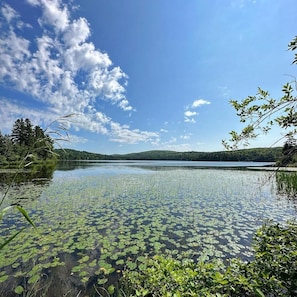 A lake surrounded by trees and vegetation. - Auberge du Lac Malcom (Sayabec)