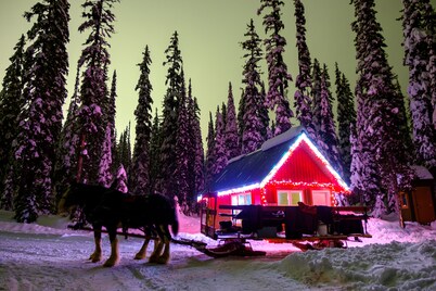 Chateau Big White