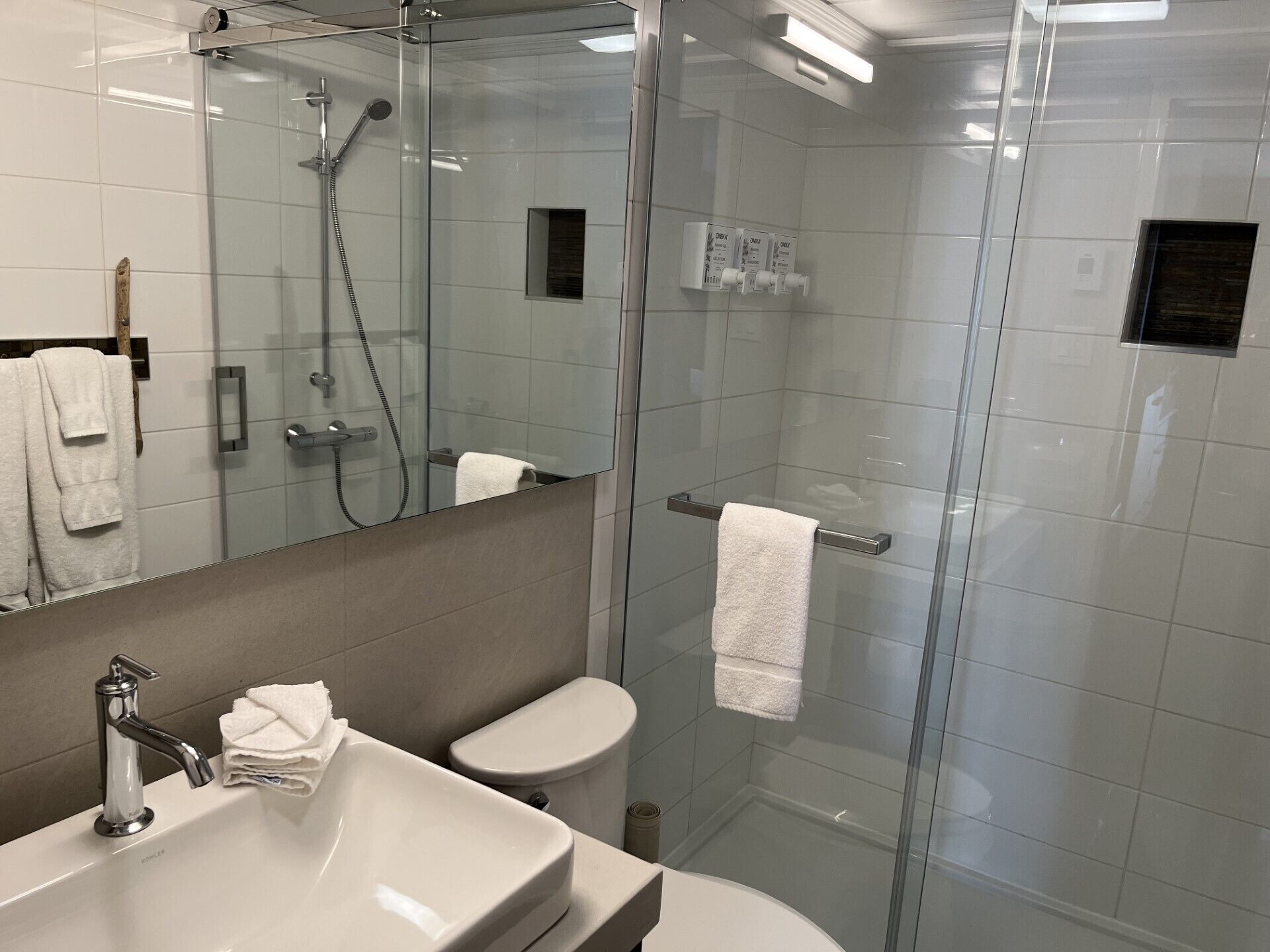 A modern bathroom with a glass-enclosed shower, a sink, and a toilet.