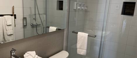 A modern bathroom with a glass-enclosed shower, a sink, and a toilet.