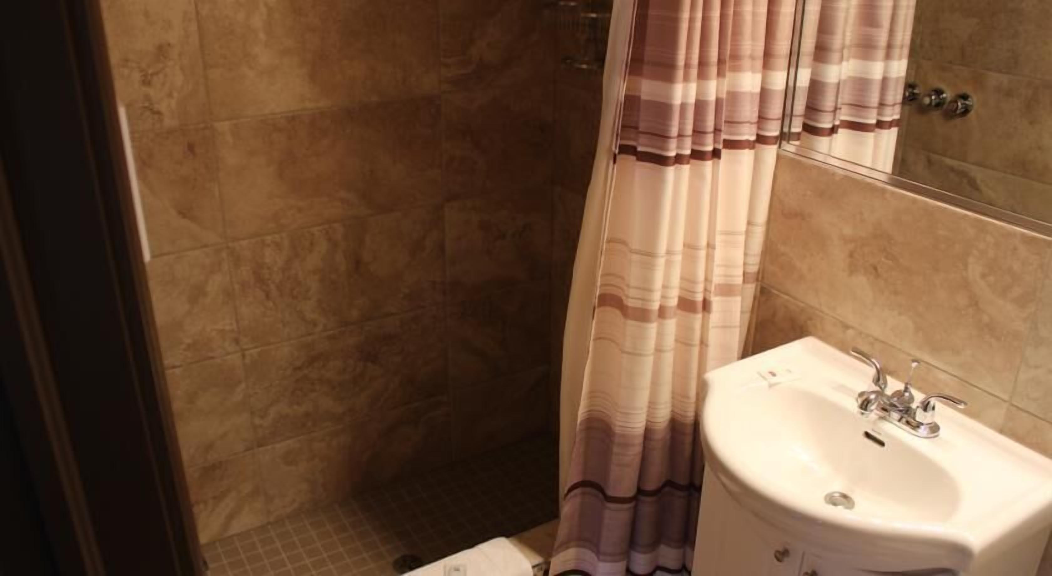 A bathroom with a shower, a sink, and a mirror.