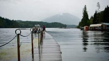 Dock
