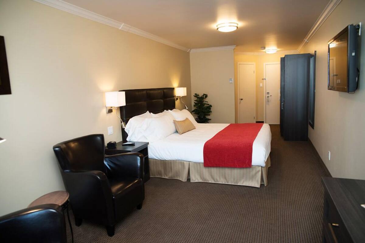 A hotel room with a large bed, a desk with a chair, a TV, and a plant.