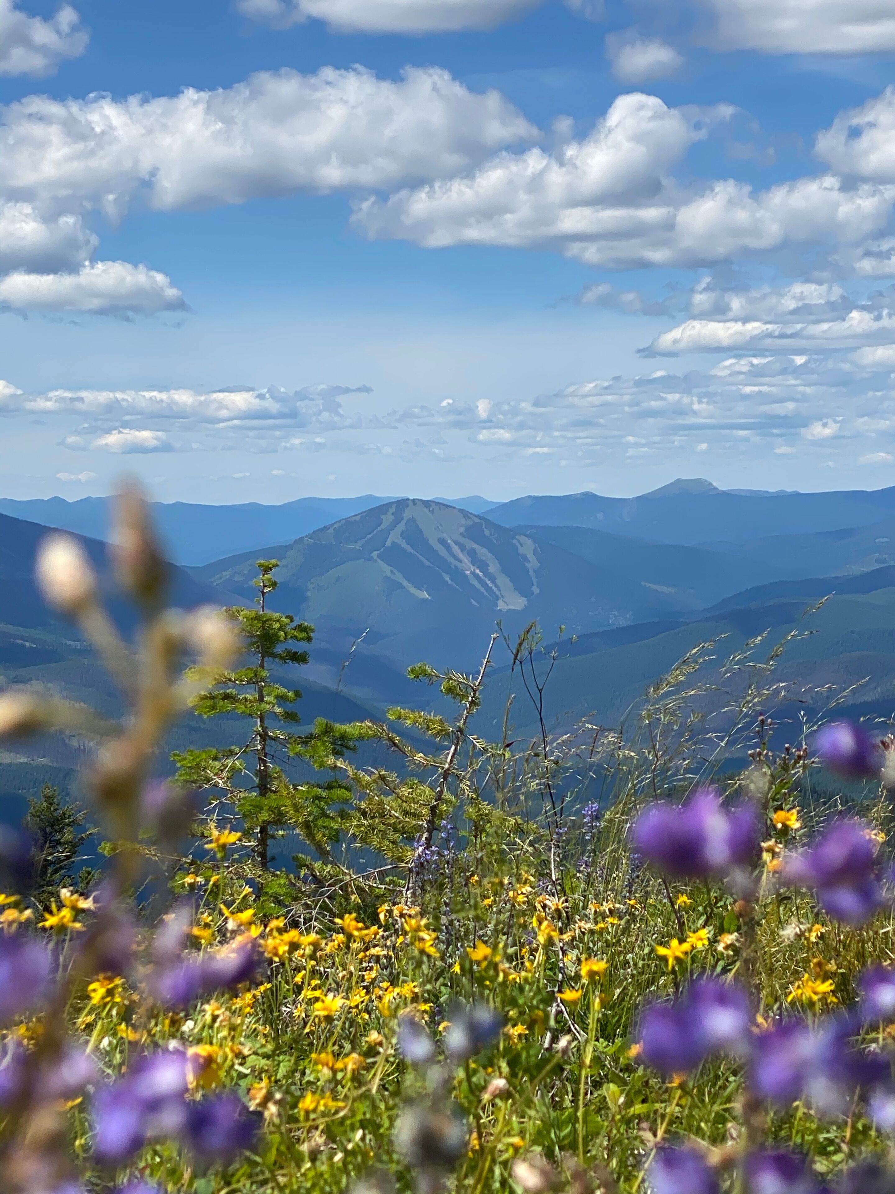 A mountainous landscape with a clear sky and distant mountains.
