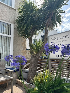 Front of property - Westward Bed & Breakfast (Newquay)