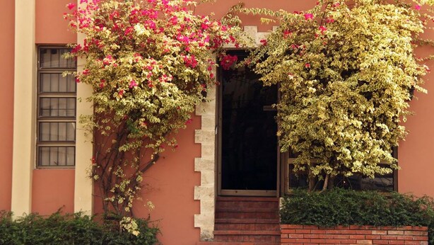 A building with a brick entrance, a window with metal bars, and flowering vines. - Aparta Hotel Turey (Santo Domingo)