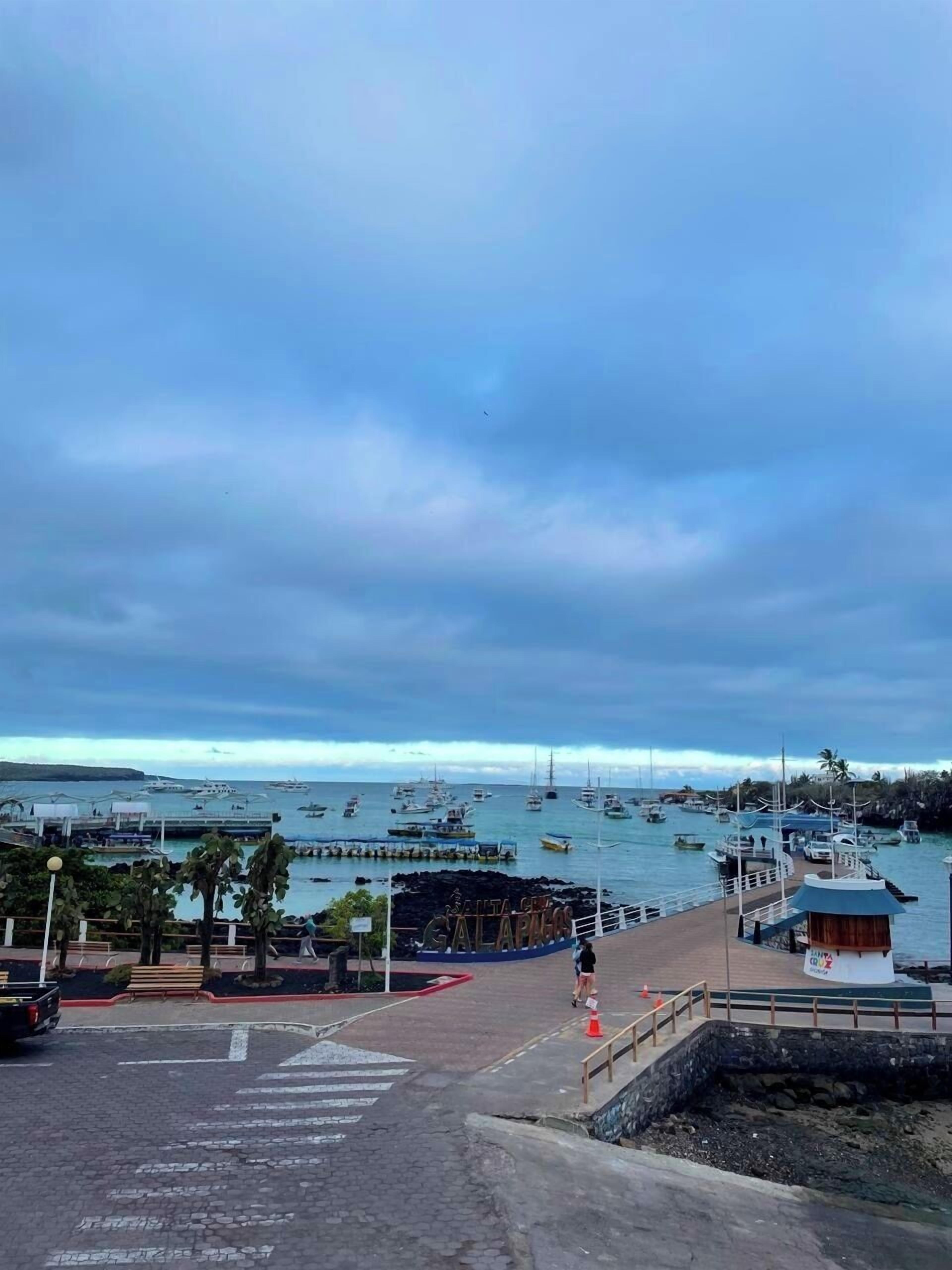 En småbåtshamn med förtöjda båtar, en gångväg och en skylt med texten ”GALAPAGOS”.