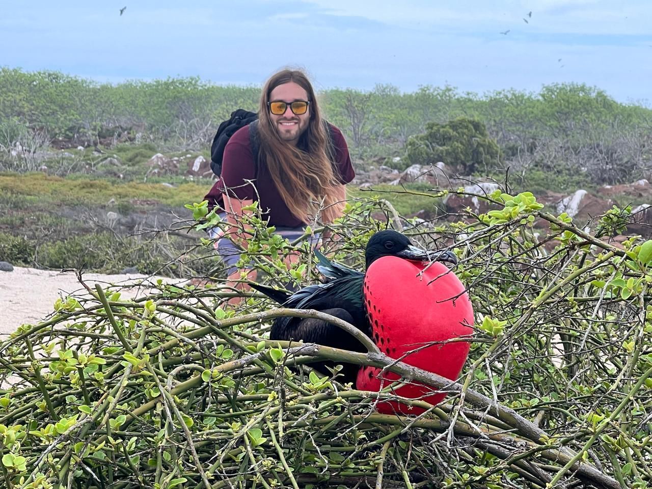 A person crouching near a red object amidst branches and greenery, with a natural landscape in the background.