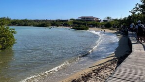 Un paseo marítimo de madera a lo largo de una playa con aguas azules cristalinas, una orilla arenosa y algunos edificios al fondo.