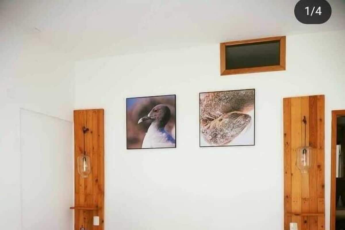 Habitación individual estándar | 1 habitación, edredón, tabla de planchar con plancha y wifi gratis