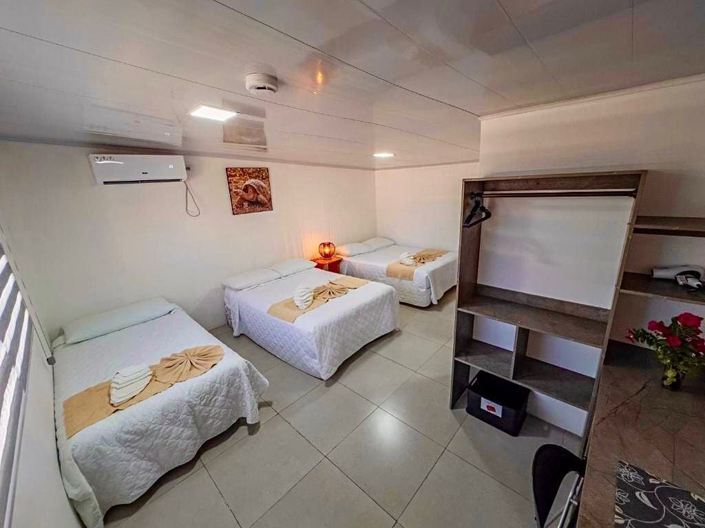 Habitación de hotel con dos camas, un escritorio, una silla, un estante y una mesita con un florero.
