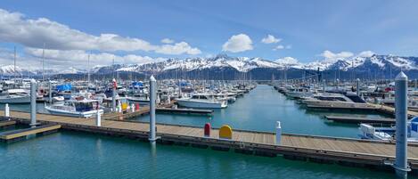 A marina with boats docked, a wooden pier, and snow-capped mountains in the background.