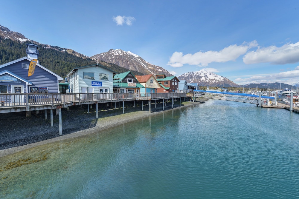 Saltwater Safari Company by null