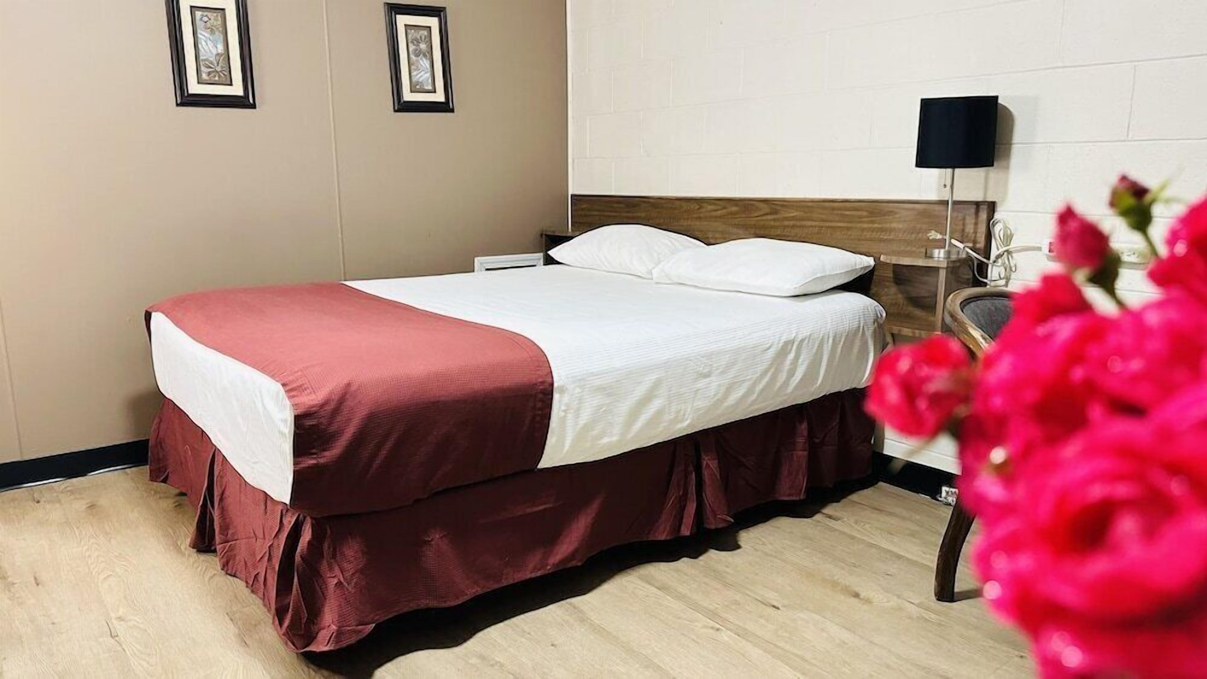 Escritorio, tabla de planchar con plancha, wifi gratis y ropa de cama 