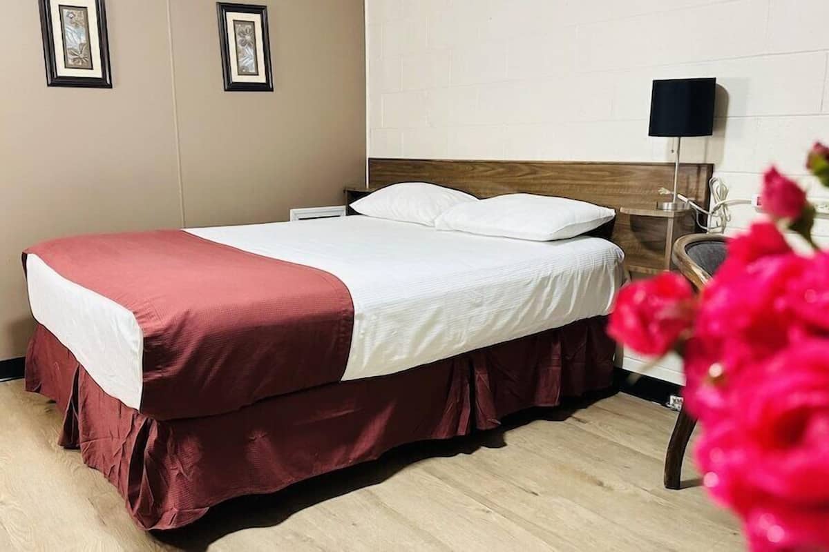 Escritorio, tabla de planchar con plancha, wifi gratis y ropa de cama