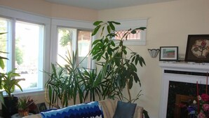 A living room with a sofa, a large plant, a fireplace, and a window with blinds. - Downtown Bed And Breakfast (Moncton)