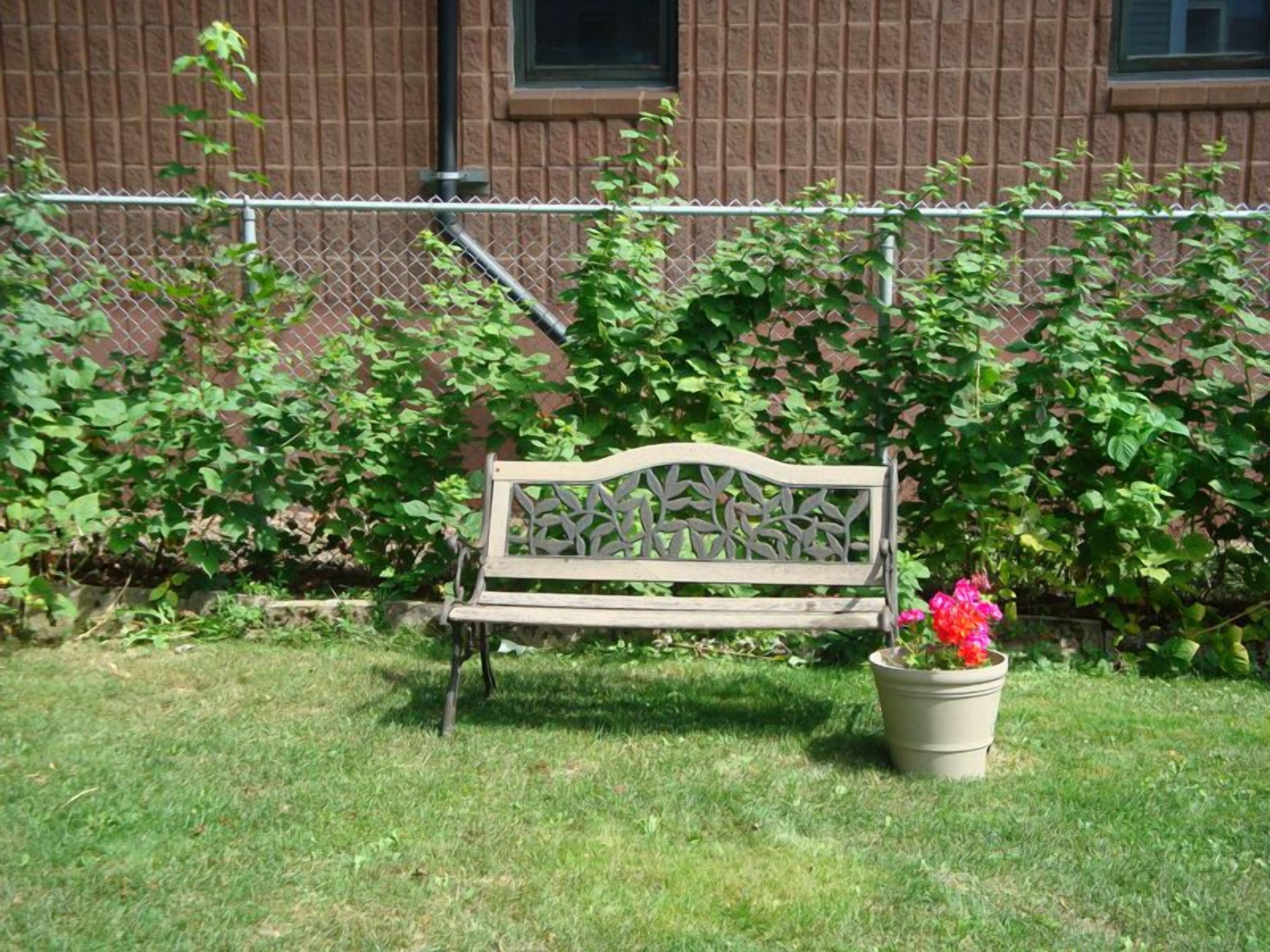 Un banc doté d’un dossier décoratif, situé dans un espace verdoyant, avec un pot de fleurs à proximité.