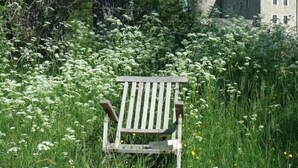 Una silla de madera en un campo de hierba alta y flores silvestres, con un edificio de piedra al fondo.