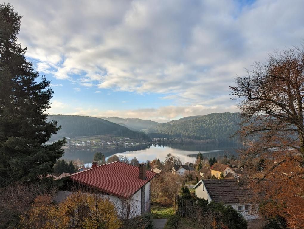Vista de un lago con casas y montañas al fondo.