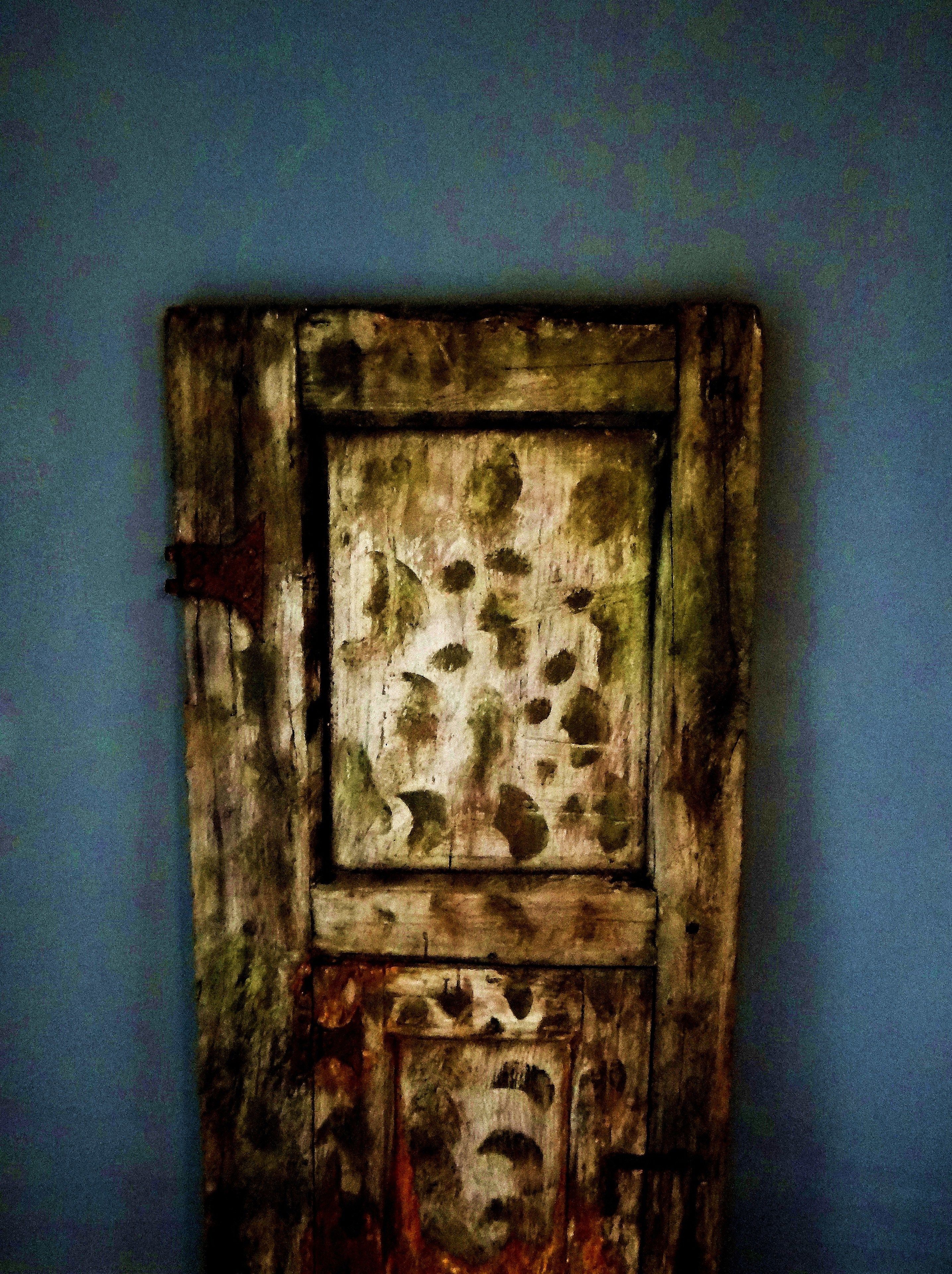 Foto - DOME São Bento