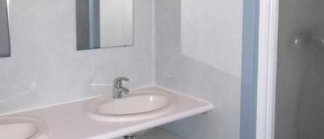 A modern bathroom with two sinks, a mirror, and a shower.