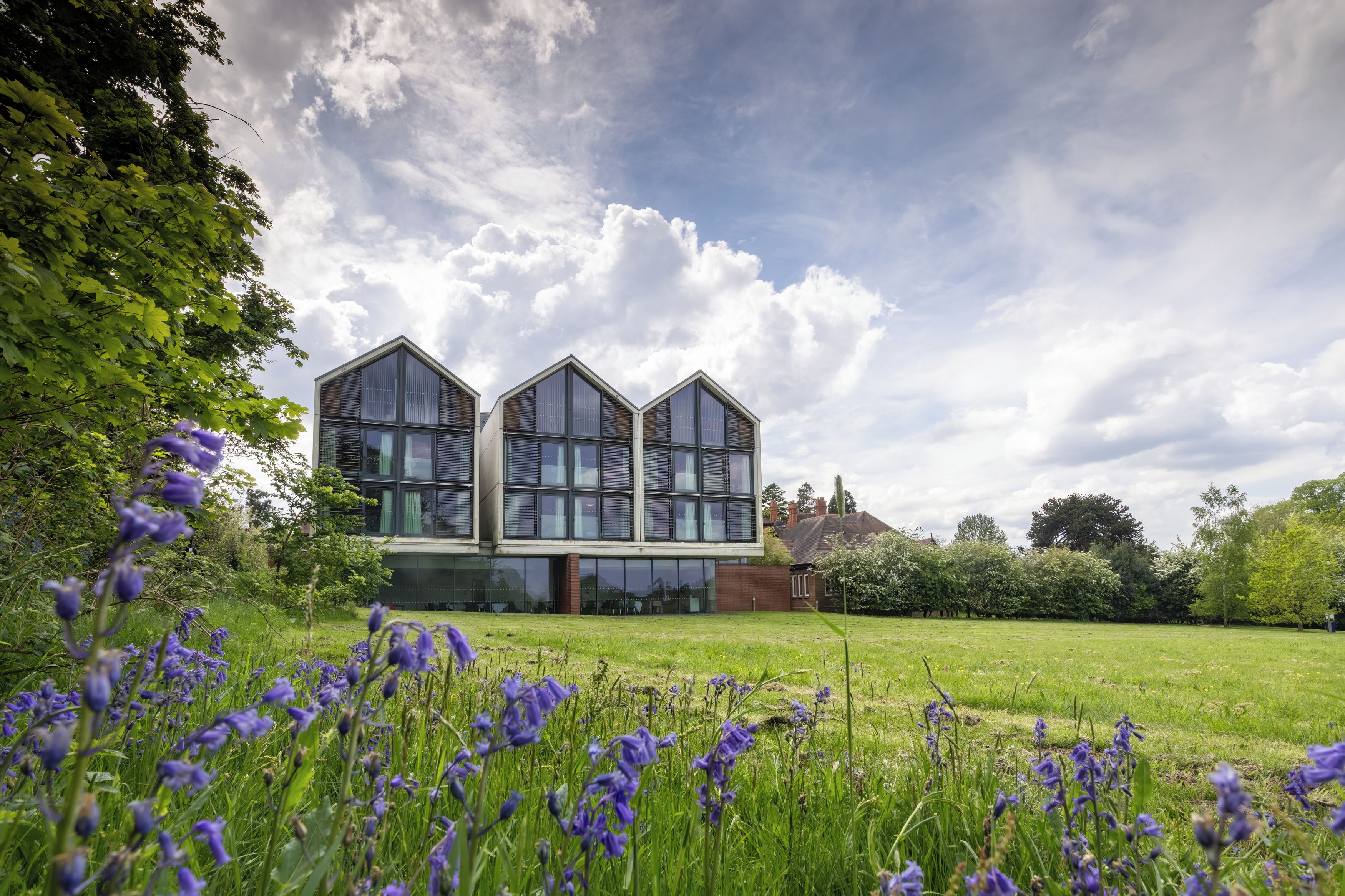 A modern building with a triangular roof and large windows, surrounded by a grassy field and purple flowers.