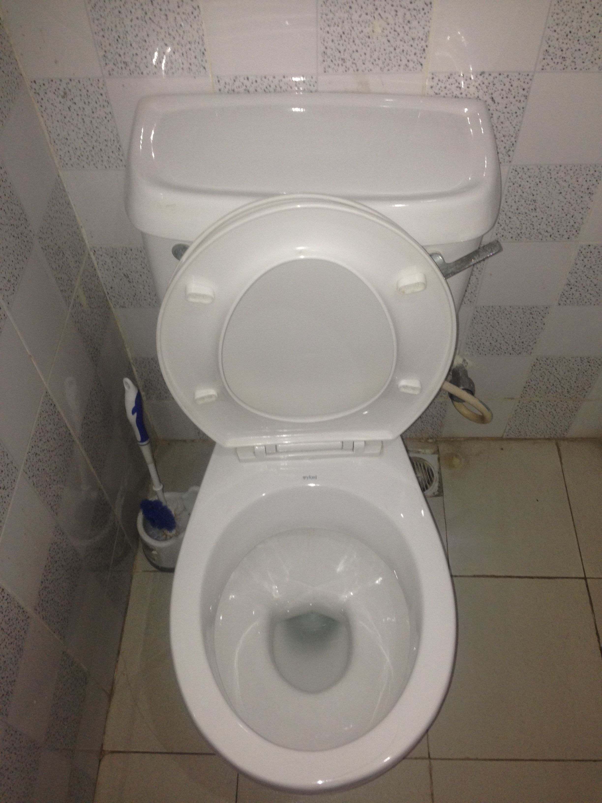 Des toilettes blanches avec un abattant fermé, un accessoire de type bidet et une brosse pour les toilettes.