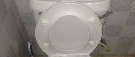 Des toilettes blanches avec un abattant fermé, un accessoire de type bidet et une brosse pour les toilettes.
