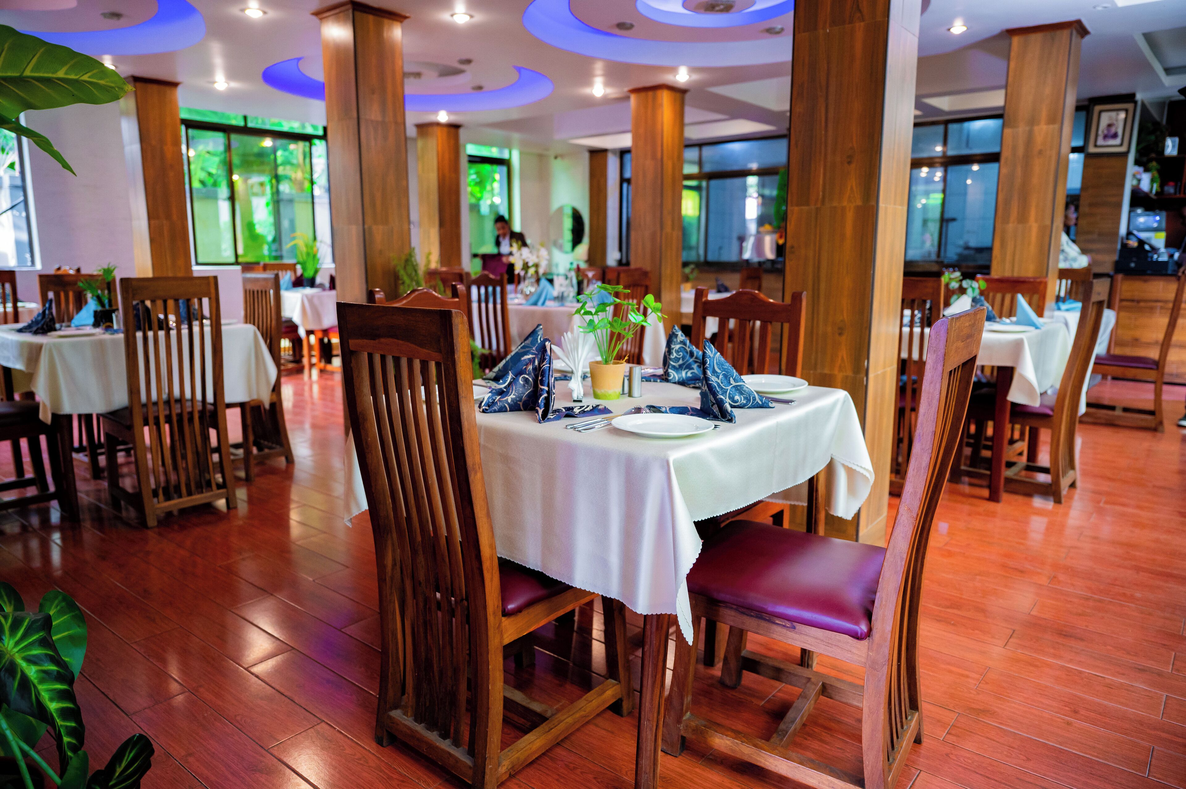 A restaurant with wooden chairs and tables, large windows, and a green plant on the table.