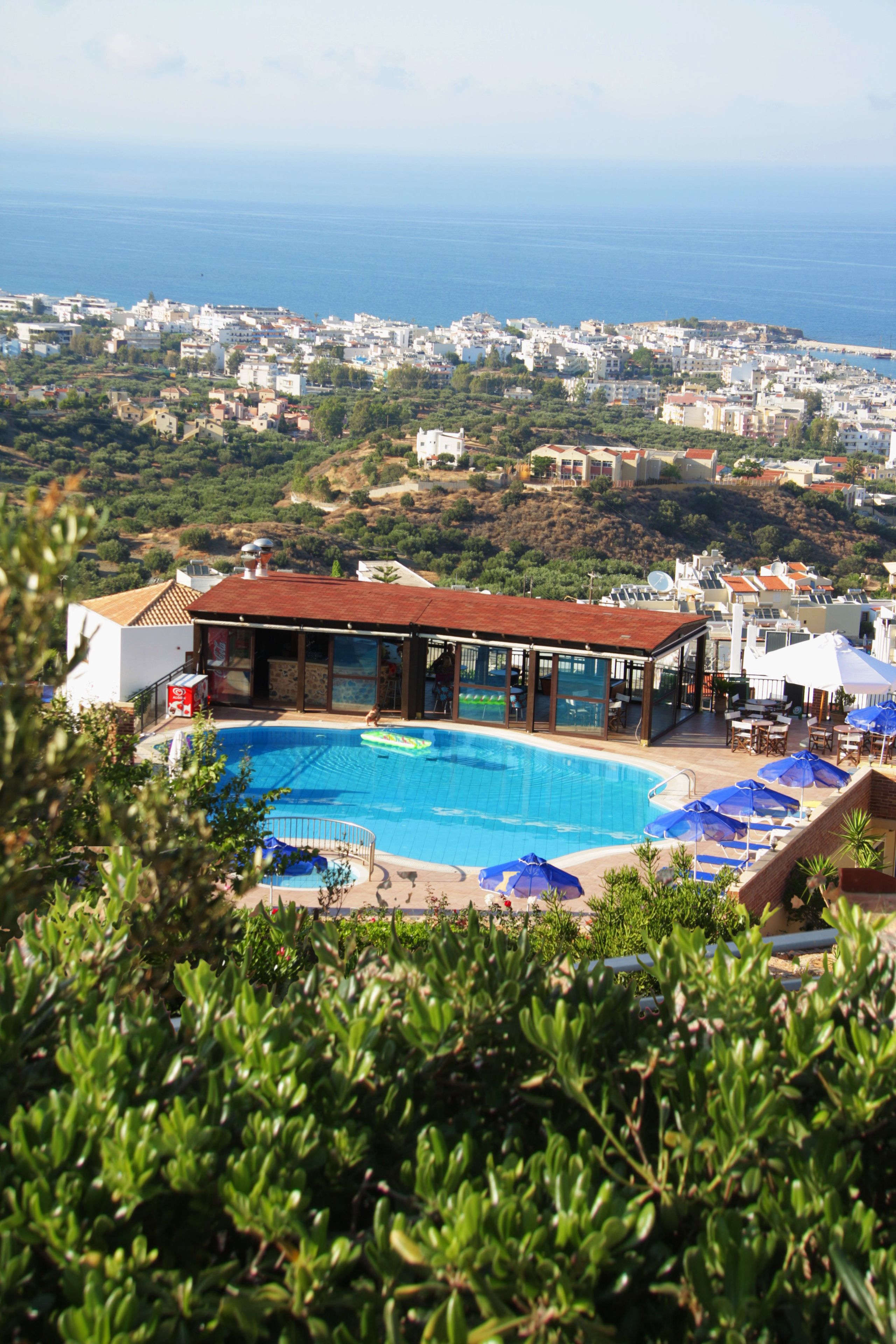 A swimming pool with lounge chairs and umbrellas, surrounded by greenery.
