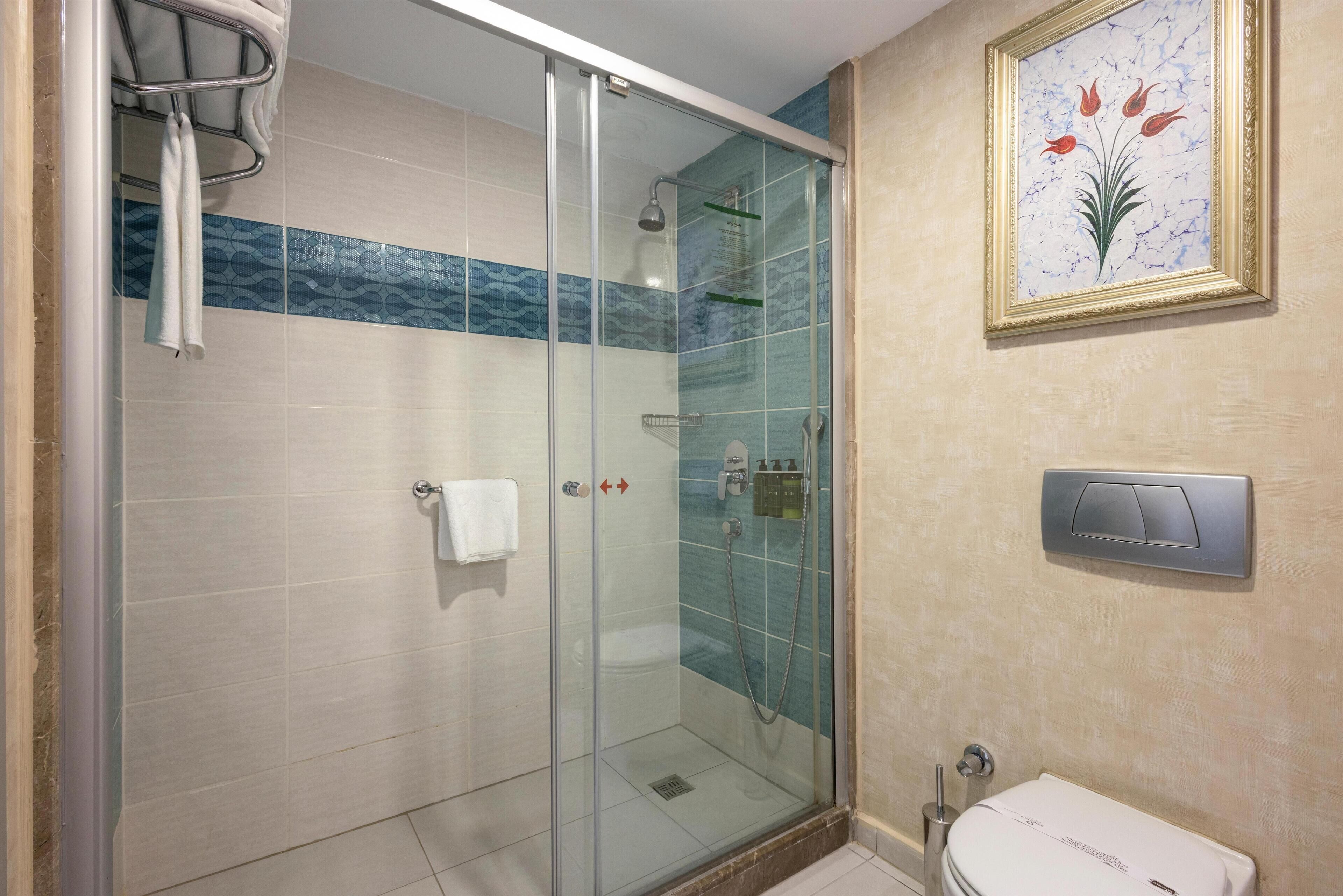 A glass-enclosed shower with a white toilet and a framed floral artwork on the wall.