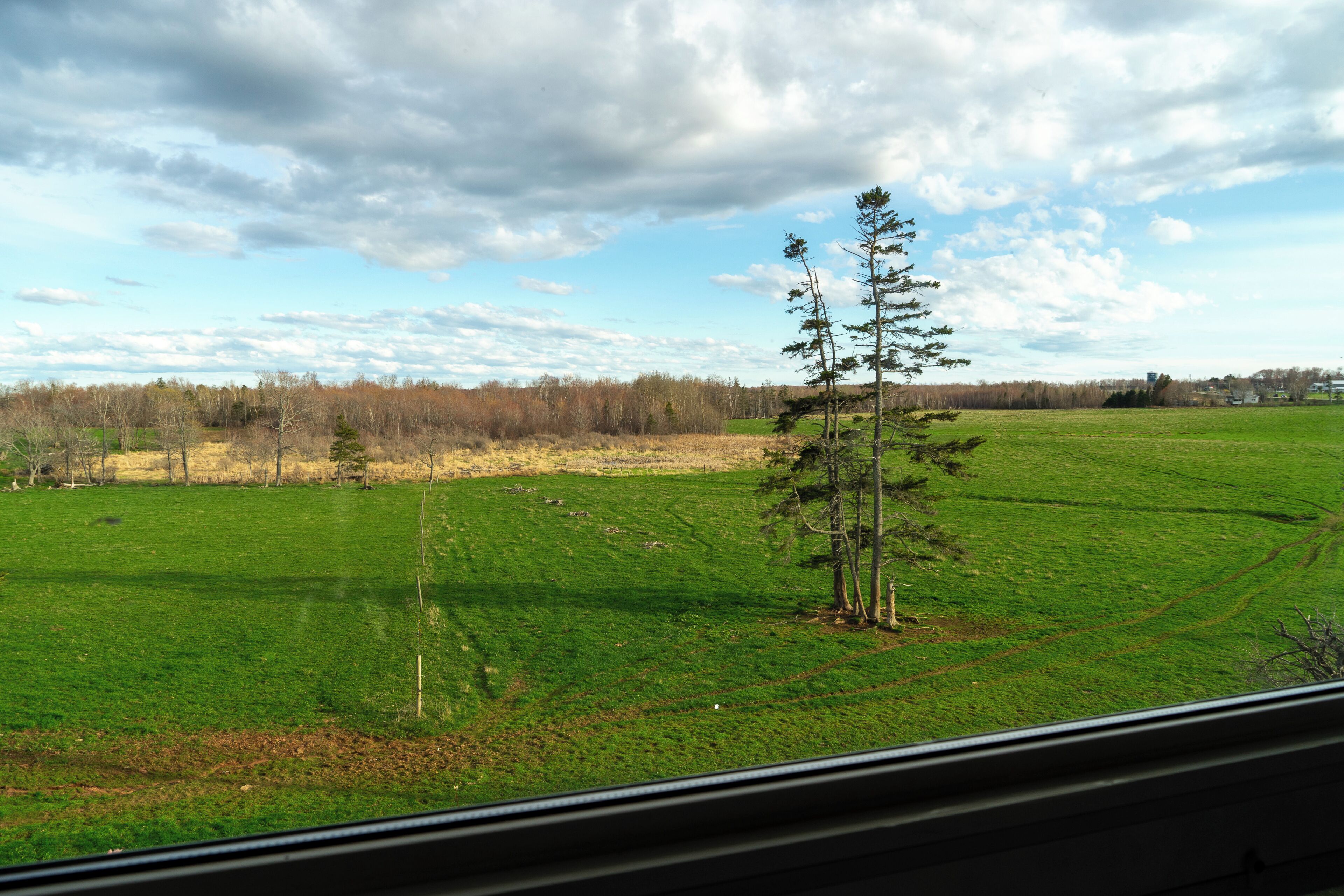 Chambre économique, 2 lits doubles | Vue de la chambre