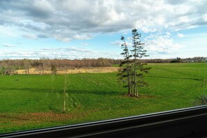 A view of a green field with a single tree and a cloudy sky.