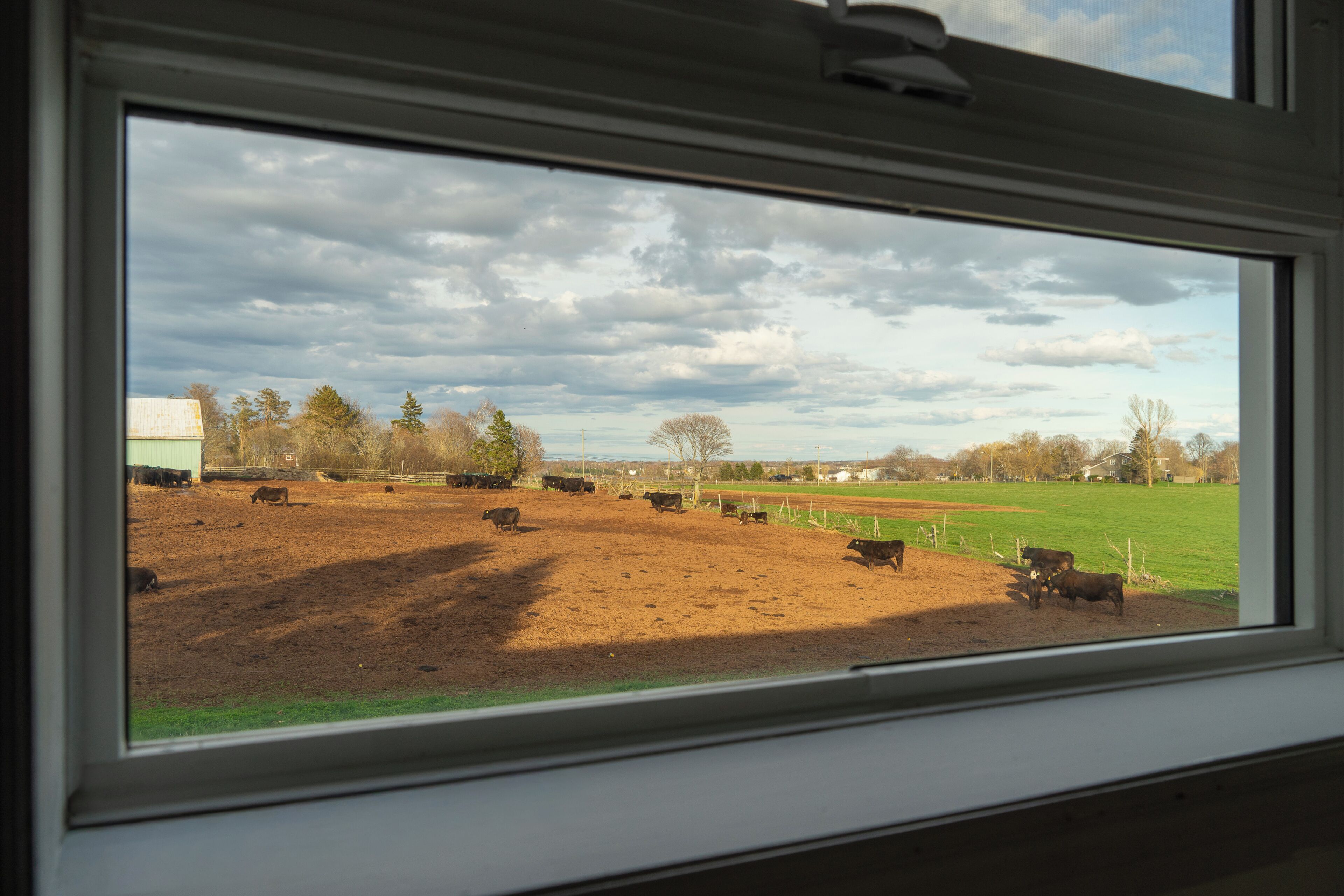 Family Suite, 2 Bedrooms | View from room