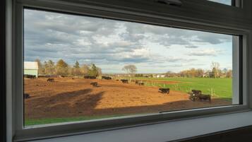 Family Suite, 2 Bedrooms | View from room