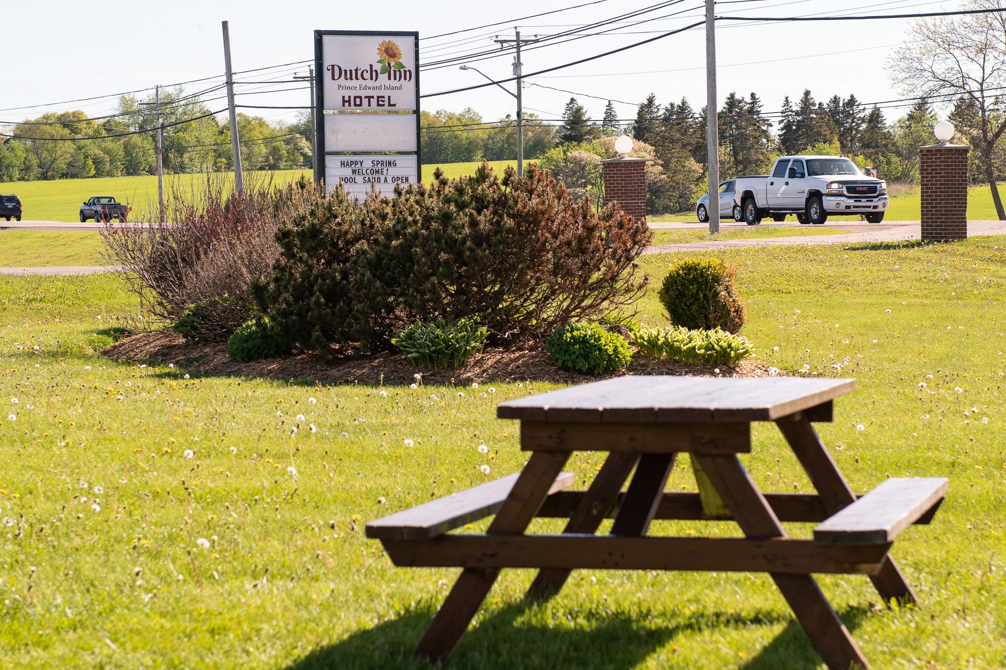 バーベキュー / ピクニック エリア