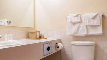 Un baño con lavamanos, espejo, inodoro y toallero.