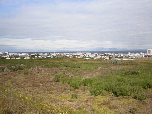 A coastal cityscape with a view of the sea and buildings in the distance.