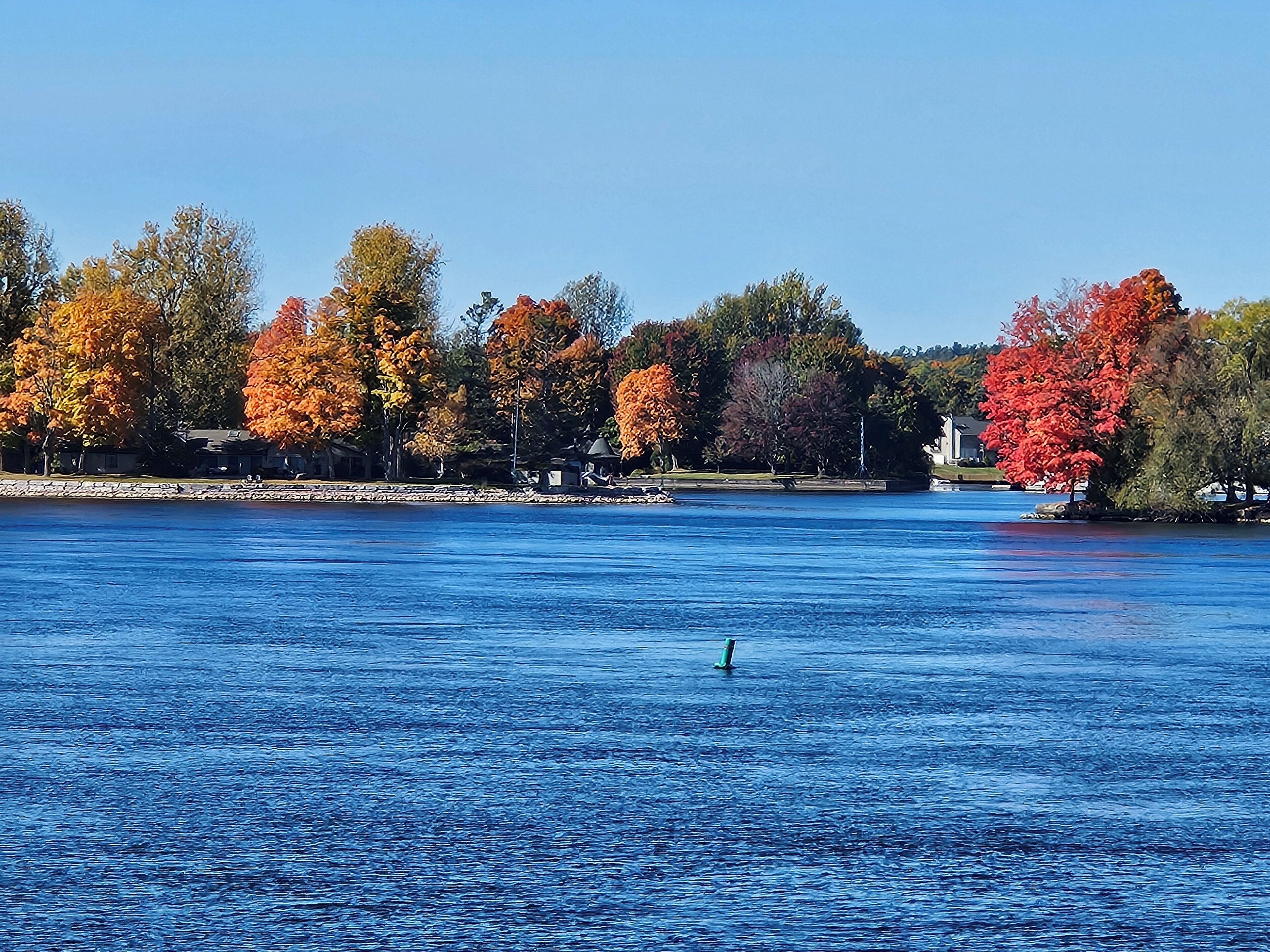 Un lac paisible, bordé d’arbres aux couleurs automnales, sous un ciel dégagé.