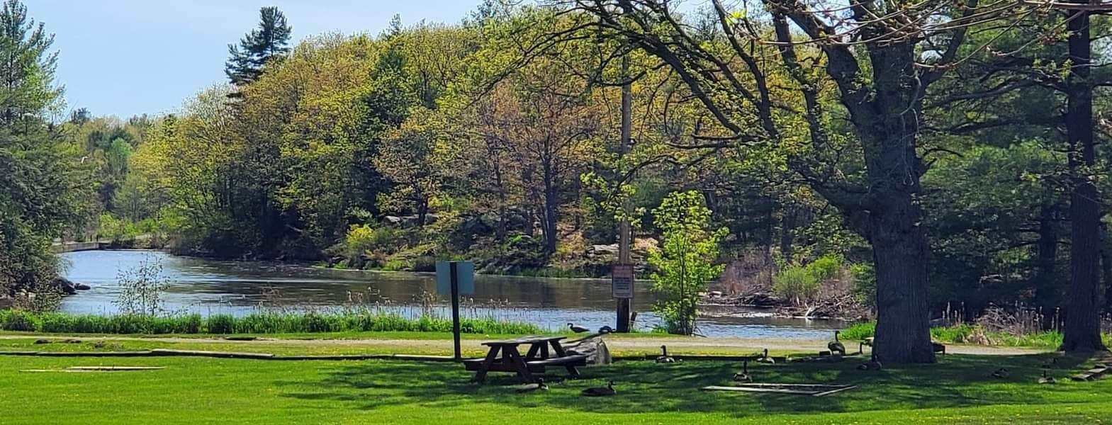 Un parque con una mesa de picnic, bancos y un estanque rodeado de árboles.