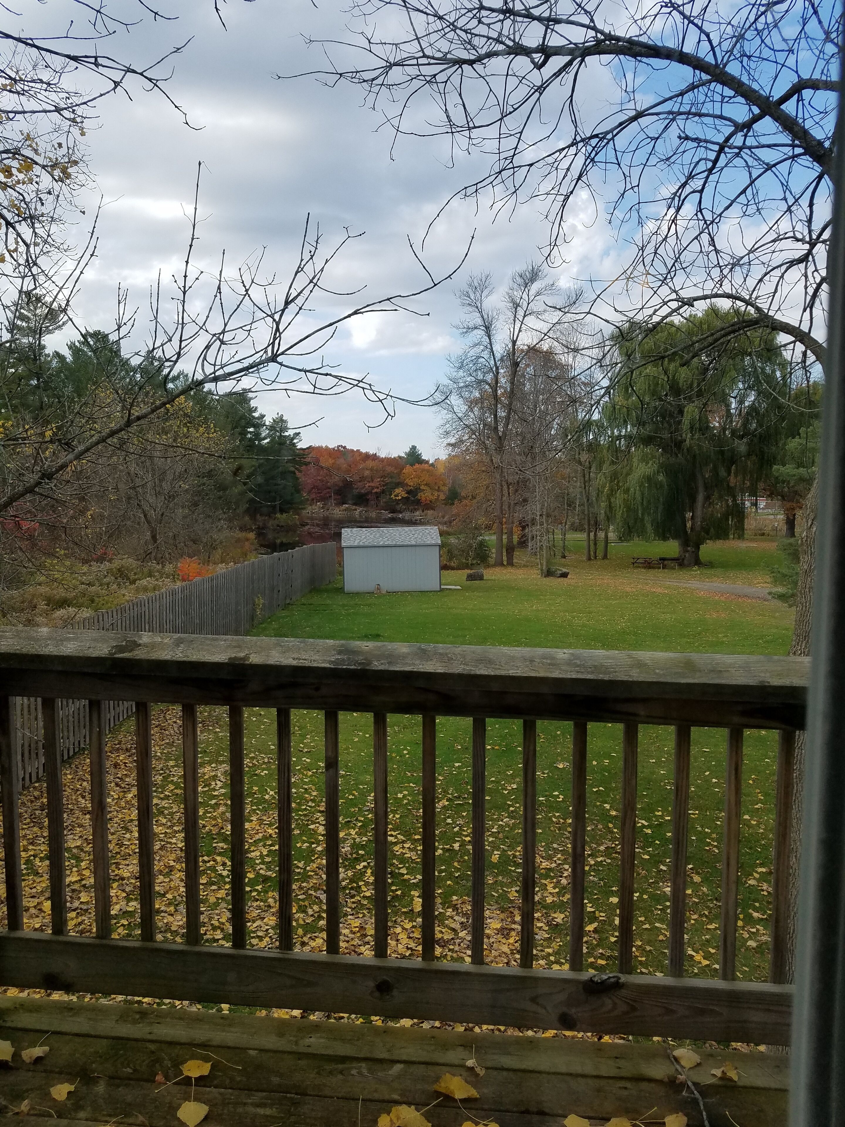 A wooden deck with a view of a grassy yard, a small shed, and leaf-covered ground.