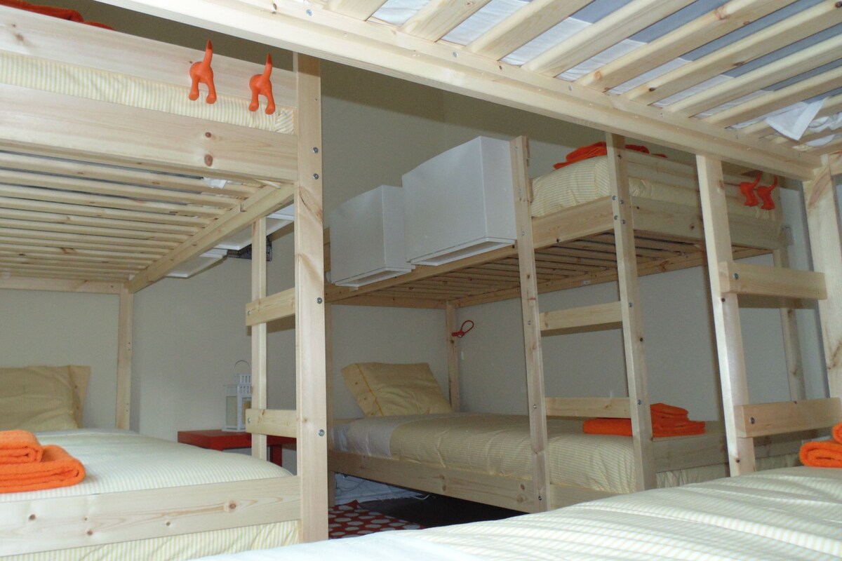 Standard Shared Dormitory (One Bed in Shared Dorm) | Free WiFi