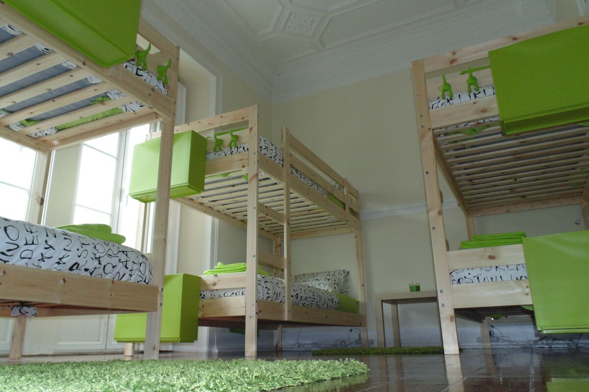 Superior Shared Dormitory, Mixed Dorm (One Bed in Shared Dorm) | Free WiFi