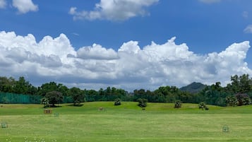 Tennis court