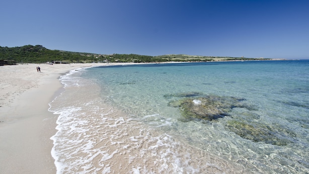 A beach with clear water, sandy shore, and a distant hill.
